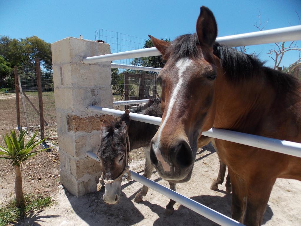 Agriturismo Le Tagliate Uggiano La Chiesa Εξωτερικό φωτογραφία