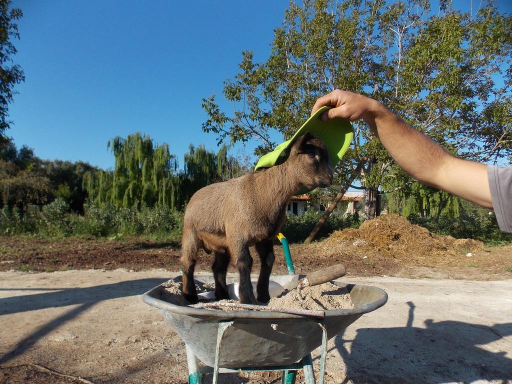 Agriturismo Le Tagliate Uggiano La Chiesa Εξωτερικό φωτογραφία